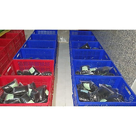 Cạm thú loại 1 -20k đủ size