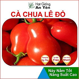 Hạt giống Cà Chua Cherry Lê Đỏ thu hoạch sớm, dễ trồng, nảy mầm cao, sinh trưởng khoẻ