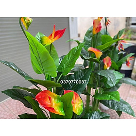 Mua Cây hồng môn 150cm - 3 nhánh  ảnh thật do shop chụp. Cây giả decor trang trí nhà cửa nội thất phòng khách phòng ngủ