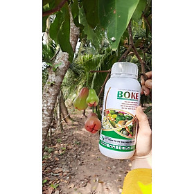 Mua BOKE (Chai 500ml) Giúp trái lớn nhanh  đồng đều  hạn chế hoa rụng
