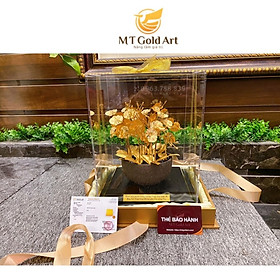 chậu hoa lan 12 nhánh MT Gold Art(30x26x20 cm)- Hàng chính hãng đồ trang trí nội thất, phòng làm việc, quà tặng sếp, khách hàng, đối tác