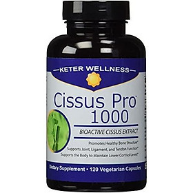 Cissus Pro 1000 | Made in USA | Pure Cissus quadrangularis Extract | 120 Vegetarian Capsules
