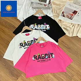 MS: 220584 - Áo croptop kiểu lửng sành điệu cho bé gái, in RABBIT