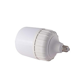 Bóng đèn LED Bulb Trụ  Rạng Đông Model: LED TR100N1/30W SS - Trắng