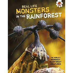 [Download Sách] Sách tiếng Anh - Real Life Monsters Of The Rainforest