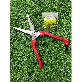Mua Kéo Cắt Tỉa Cây Cảnh Tỉa dăm Mũi Dài Nhật Bản (1 chiếc)