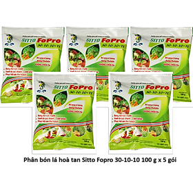 Mua Combo 5 gói Phân bón lá NPK hòa tan Sitto FoPro 30-10-10+TE (  100g x 5 gói)