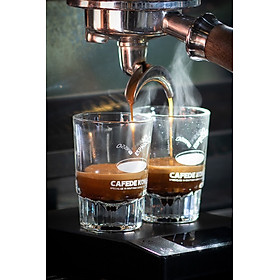 Mua Ly thủy tinh espresso test shot 50ml chuyên dụng siêu dày trong suốt có vạch đong Cafede Kona  ly có vạch ml