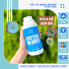 Mua  Siêu kích rễ  Dung Dịch Kích Rễ ROOTING BA Dùng Cho Sen Đá  Kiểng Lá  Hoa Lan Và Cây Cảnh - Chai 500ml