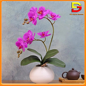 Mua Chậu Hoa Lan Hồ Điệp Cao 40cm Hoa Giả Trang Trí Nhà Cửa Bàn Làm Việc Kệ Tủ Siêu Đẹp DG-270