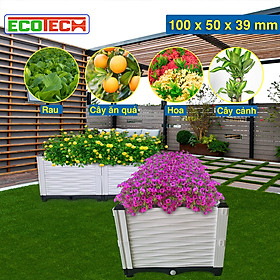 CHẬU GHÉP THÔNG MINH 100x50x39 Cm: Thẩm mỹ, kết cấu chắc, dễ lắp đặt, phù hợp mọi cây trồng đô thị.