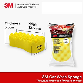 Xốp Bọt BIển Chuyên Dụng Dùng Để Rửa Xe Ô Tô ( Car Wash Sponge ) 3M - Made in Thailand