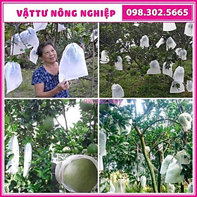 100 túi bọc trái kích thước 30x30cm