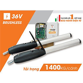 Mua Motor cổng tự động tay đòn Roger Italia Smarty 7
