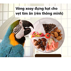 1 VÒNG XOAY ĐỰNG HẠT CHO VẸT TÌM ĂN (RÈN LUYỆN TRÍ THÔNG MINH)