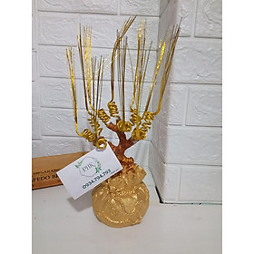 GỐC TÚI TIỀN KÈM KẼM NHƯ HÌNH 30CM