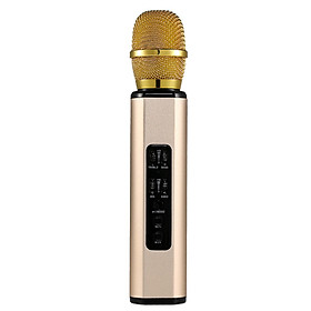 Mua Micro Karaoke Không Dây Kiêm Loa Bluetooth PKCB - Hàng Chính Hãng