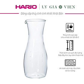 Mua Bình Nước Thủy Tinh Giữ Nhiệt Hario Heatproof Decanter 300ml