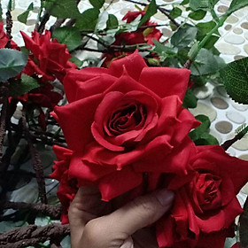 Mua Hoa giả - dây hoa hồng leo cao cấp giả trang trí dài 3m