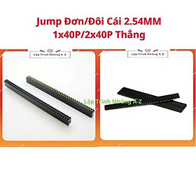 Mua  Lập Trình Nhúng A-Z  139  Jump Đơn/Đôi Cái 2.54MM 1x40P/2x40P Thẳng