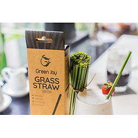 Mua Ống hút cỏ bàng khô - Green Joy