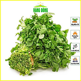 Mua Hạt giống Xà Lách Xoong Sinh Trưởng Khỏe  Trồng Quanh Năm (gói 1 gram) - Hạt Giống Rạng Đông