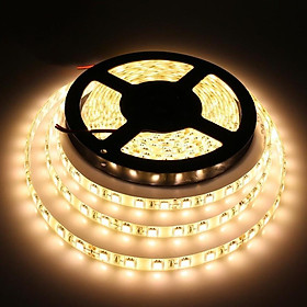 Mua Cuộn Led dây dán 5m 5050 12V