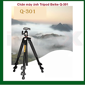 Mua CHÂN MÁY ẢNH TRIPOD BEIKE Q-301 - HÀNG NHẬP KHẨU