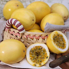 Mua Cây chanh leo ( dây) tím và vàng 3 tháng ra quả ( ảnh thật hình cuối)