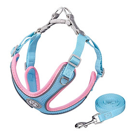 Dog Harness and Leash Set Padded Mesh Vest for Training Walking S Pink - M