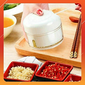 Mua MÁY XAY TỎI ỚT BẰNG TAY ĐA NĂNG