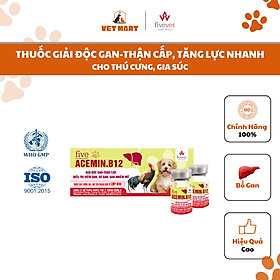 Five-Acemin.B12 - Hỗ Trợ Thải Độc Gan-Thận cấp, bổ gan, tăng lực nhanh