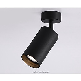 Mua Đèn Rọi Ống Bơ Ốp Tường/Ốp Trần 20W  Đèn Soi Tranh  Đèn Cầu Thang Chất Lượng  C20 Hàng Chính Hãng