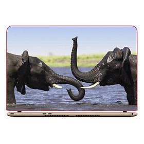 Miếng Dán Decal Laptop Animal DCLTDV 267