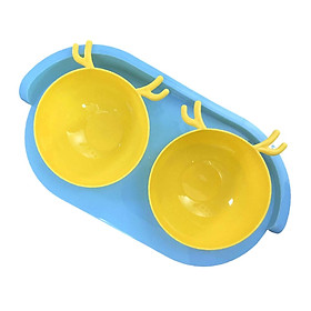 Double Cat Bowls for Food and Water Elevated Tilted Food Container Dog Bowls
