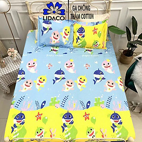 Ga Chống Thấm Cotton LIDACO Cao Cấp