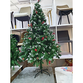 cây thông noel 1,8m phủ tuyết có gắn quả thông và quả đỏ