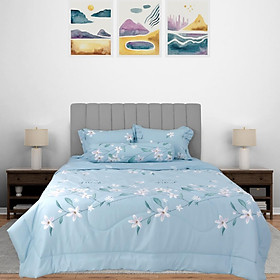 Bộ ga gối NIN Stefani ST200045 nhiều kích cỡ (Không kèm mền), bộ drap bo chun 1m2, 1m4, 1m6, 1m8 cotton nhung