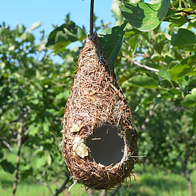 3 Pack Grass Hand Woven Bird Nest House for Outdoor Hanging, Natural Fiber Bird Hut for Outside, Provides Shelter from Cold Weather