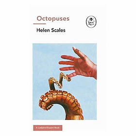 Octopuses: A Ladybird Expert Book