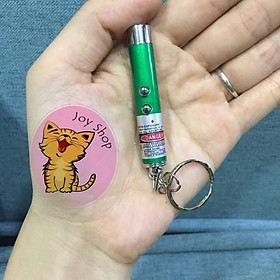 Mua LASER CHỌC MÈO CƯNG