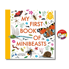 My First Book of Minibeasts by Zoe Ingram | Children's Picture Book - Nature Science Book - Walker Books Ltd