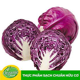 Bắp cải tím hữu cơ Organicfood - 500g