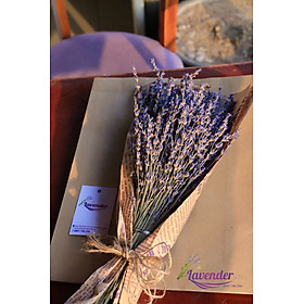 Hoa oải hương Lavender khô nhập khẩu Pháp organic mùi thơm tự nhiên trang trí decor nhà cửa (Bó 300 cành)