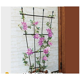KHUNG HOA LEO HÌNH QUẠT - KHUNG TRỒNG CÂY - Hàng chính hãng NHẬT BẢN - Dùng làm khung giá đỡ cho hoa hồng leo, cây hoa leo