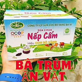 SỮA CHUA NẾP CẨM/ PHO MAI HIỆU CON BÒ VÀNG BA VÌ 