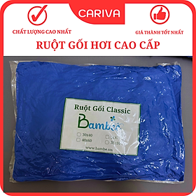 Mua Ruột Gối Nằm Ngủ Hơi Cao Cấp Kích Thước 50x70  40x60  Gối Ôm Dài