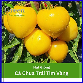 Mua Hạt Giống Cà Chua Trái Tim Màu Vàng