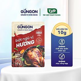Bột ngũ vị hương GUNGON tẩm ướp thịt gà, bò chế biến các món xào, chiên, nướng gói 10g