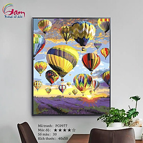 Mua Tranh tô màu theo số sơn dầu số hóa khinh khí cầu trên cánh đồng Lavender PC0977